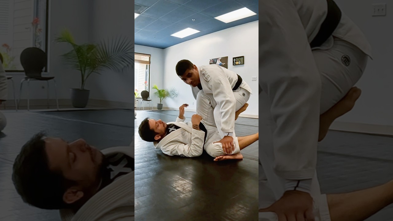 knee cut pass by Prof. JT Torres. #bjj #jiujitsu #explore