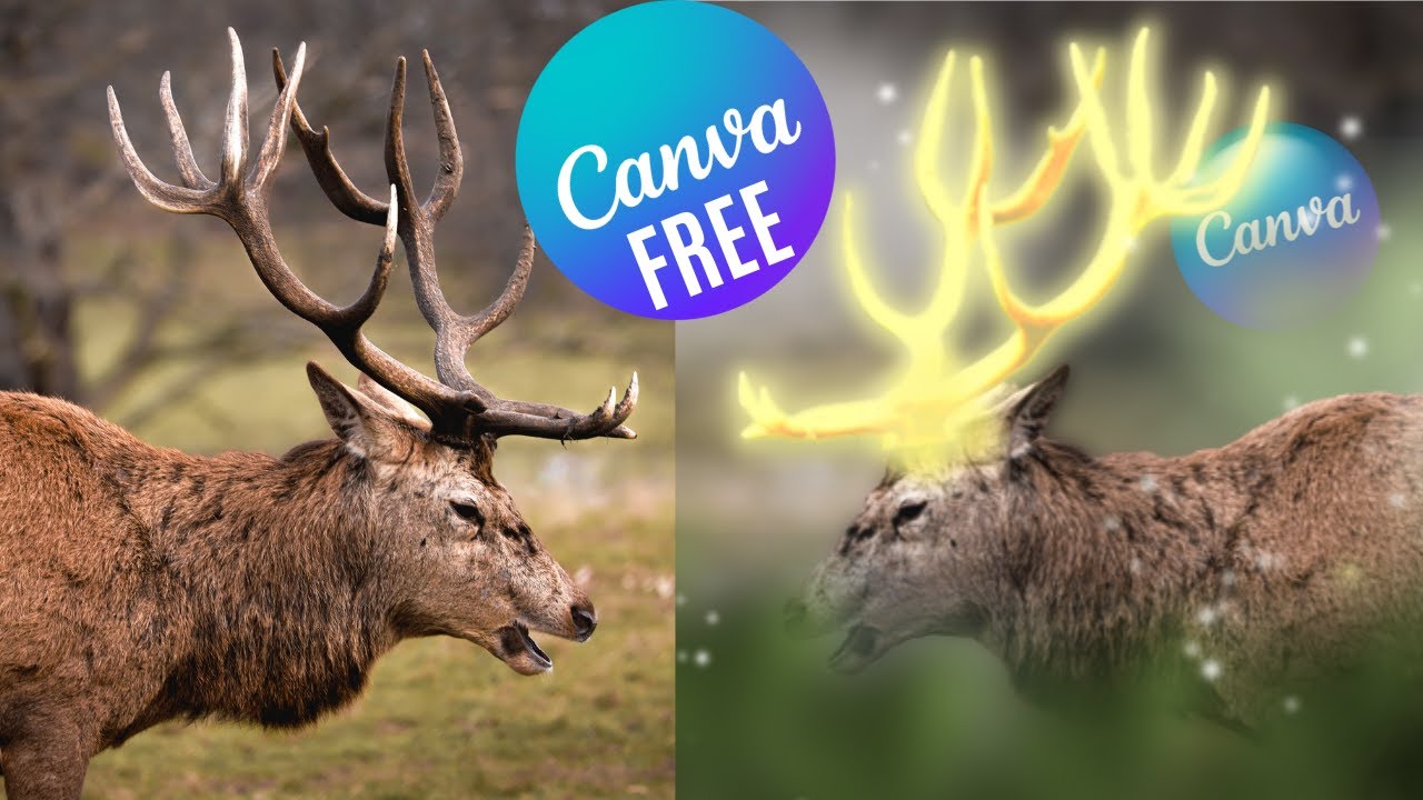 Glow Effect Canva Tutorial For Beginners | Deer Antlers Glowing Effect | Photo Manipulation