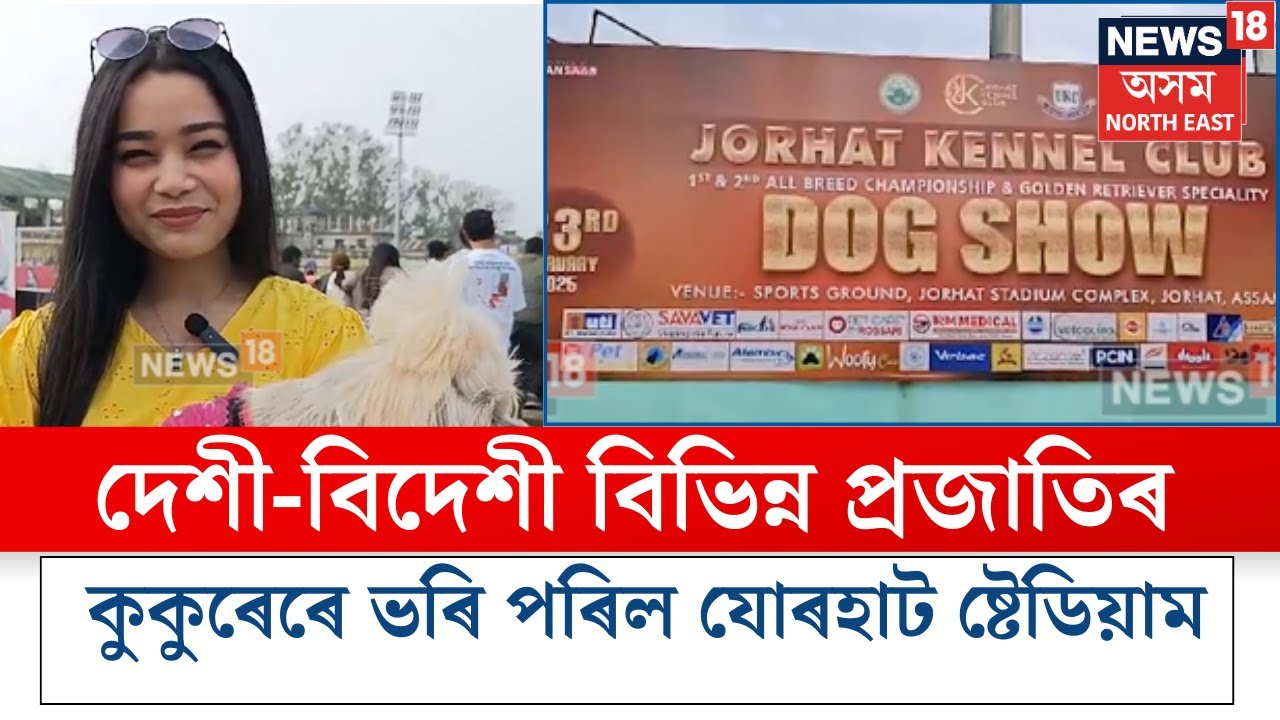 Jorhat News |যোৰহাটত ডগ শ্ব', দেশী-বিদেশী বিভিন্ন প্ৰজাতিৰ কুকুৰেৰে ভৰি পৰিল যোৰহাট ষ্টেডিয়াম N18V