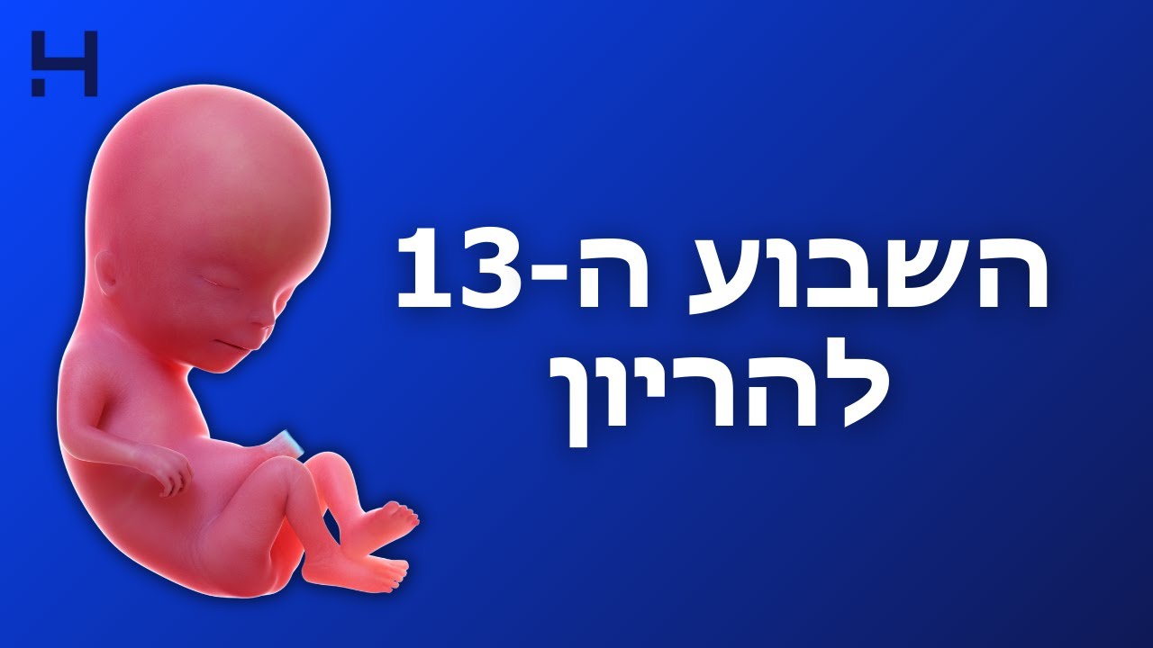 שבוע 13 להריון | 40 צעדים | הדסה טי וי