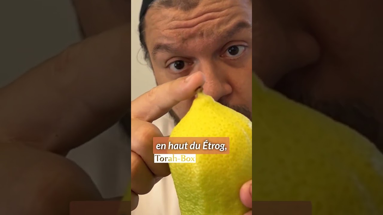 Les 4 Espèces De Souccot 🍋 Guide & Symbolique