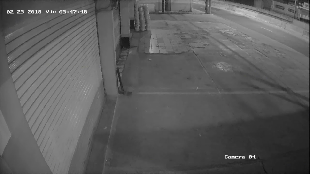 Robo puerta