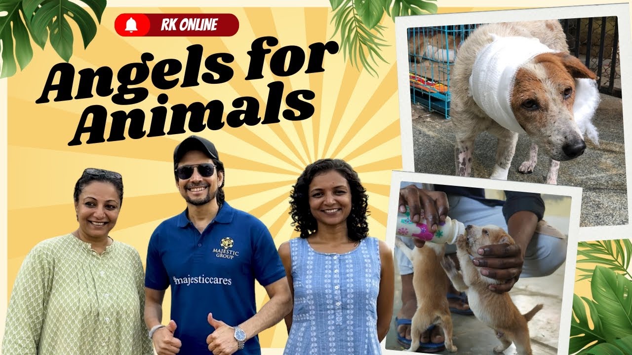 You won't believe what these Angels do for Animals ❤️🐶