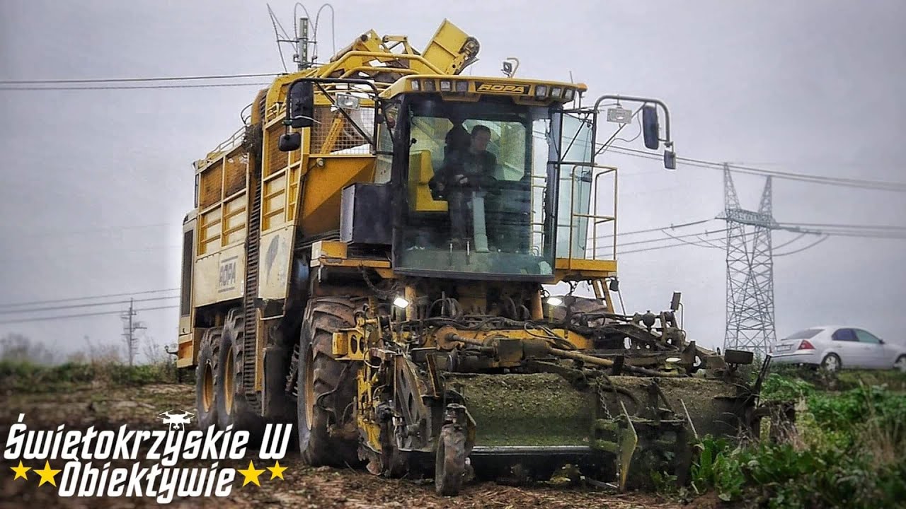 Kampania Buraczana 2020!😱Ropa Tiger 1🔥Duże G&oacute;ry![Jesień]🌱Świętokrzyskie w Obiektywie
