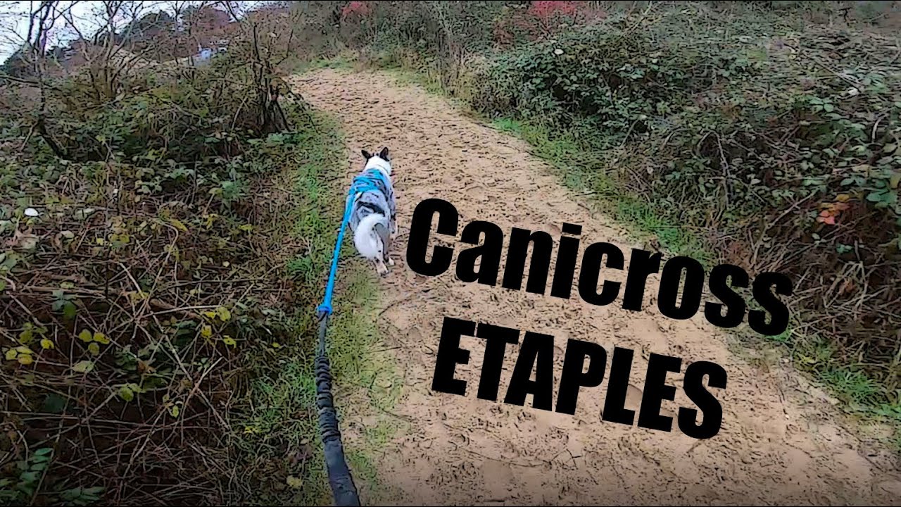 Canicross Etaples - Course