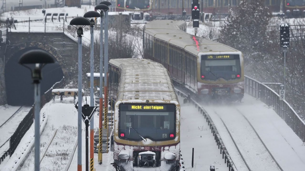 Berlin closes all Highways!! Hailstorm of nut size fell in Germany now || #storm #berlin #germany