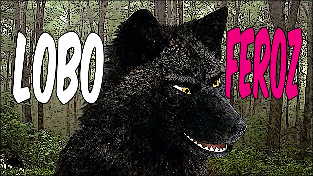3 CUENTOS INFANTILES DEL LOBO FEROZ: Los tres cerditos, Caperucita Roja y Los Siete Cabritillosos