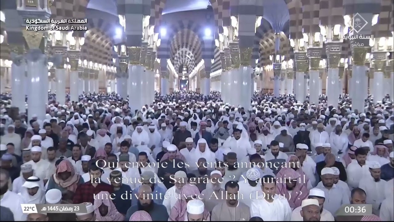 صلاة التهجد من المسجد النبوي الشريف بالمدينة المنورة ليلة 23 رمضان  1445هـ