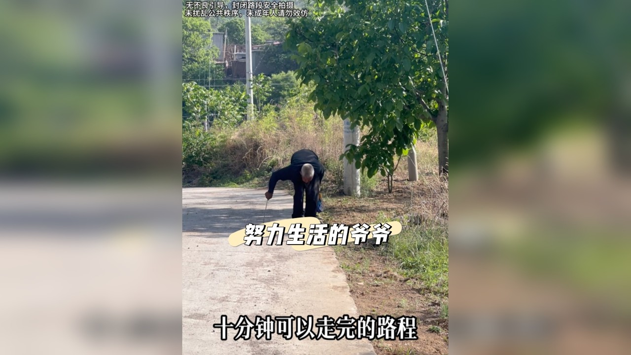 每个人都在努力的活着，我们年轻人还有什么理由不努力