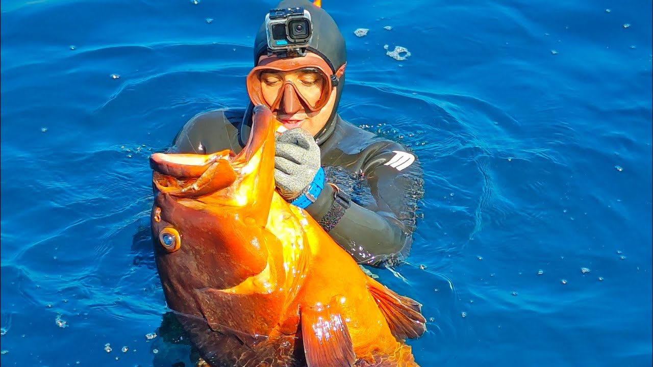 GROUPER NIGHTMARES 