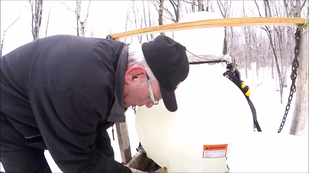 🔰 Visite à la Cabane à Sucre 🔰
