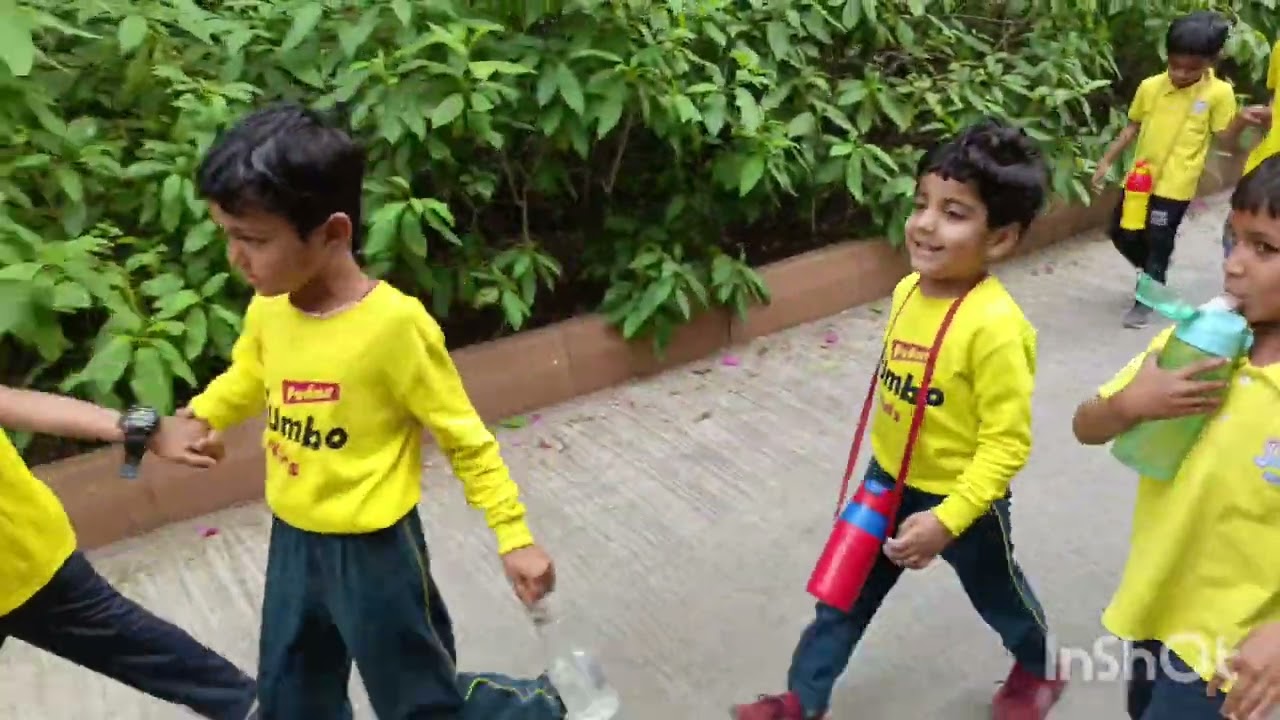 Jungle Safari 