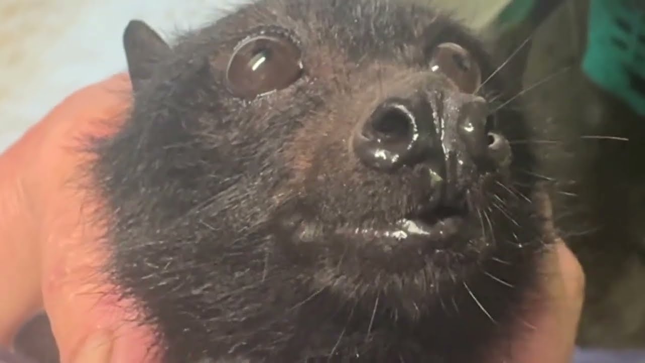 In Mandi's care:  Fern's story