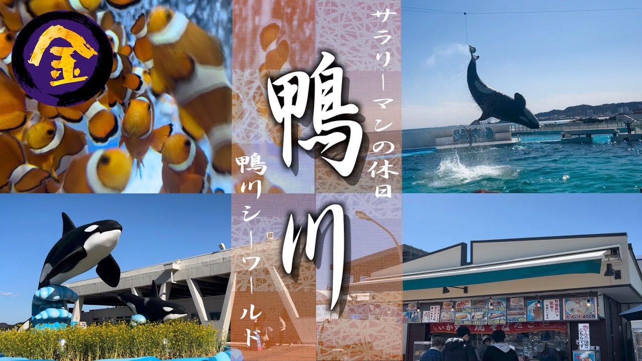 鴨川シーワールド-Kamogawa Sea World🐬-｜圧巻のシャチショー！パフォーマンスプログラムがたくさんの大型水族館