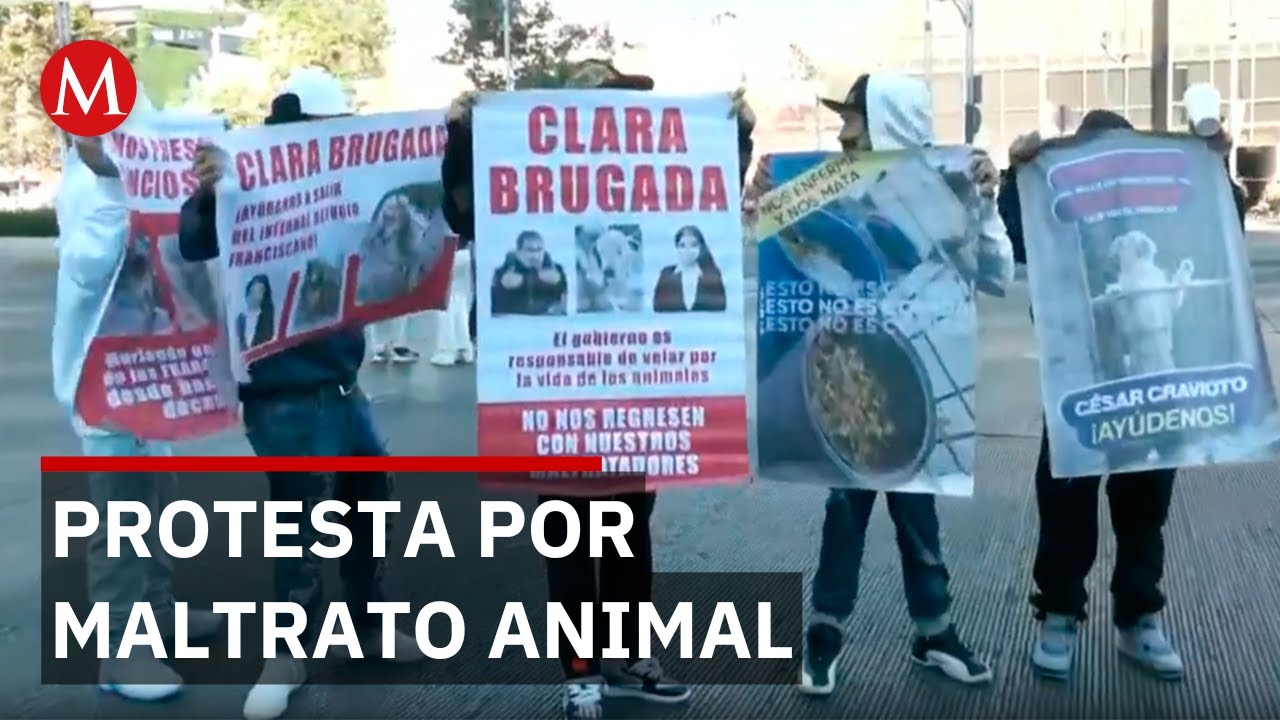 Ambientalistas bloquean Insurgentes y Reforma por caso del Refugio Franciscano