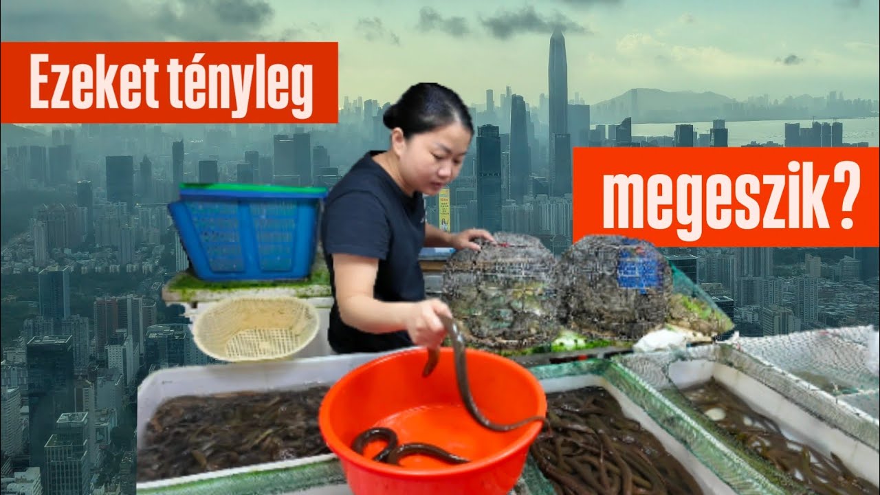 Meghökkentő NEDVES piac a TECH kínai fővárosában 🐢🏙️