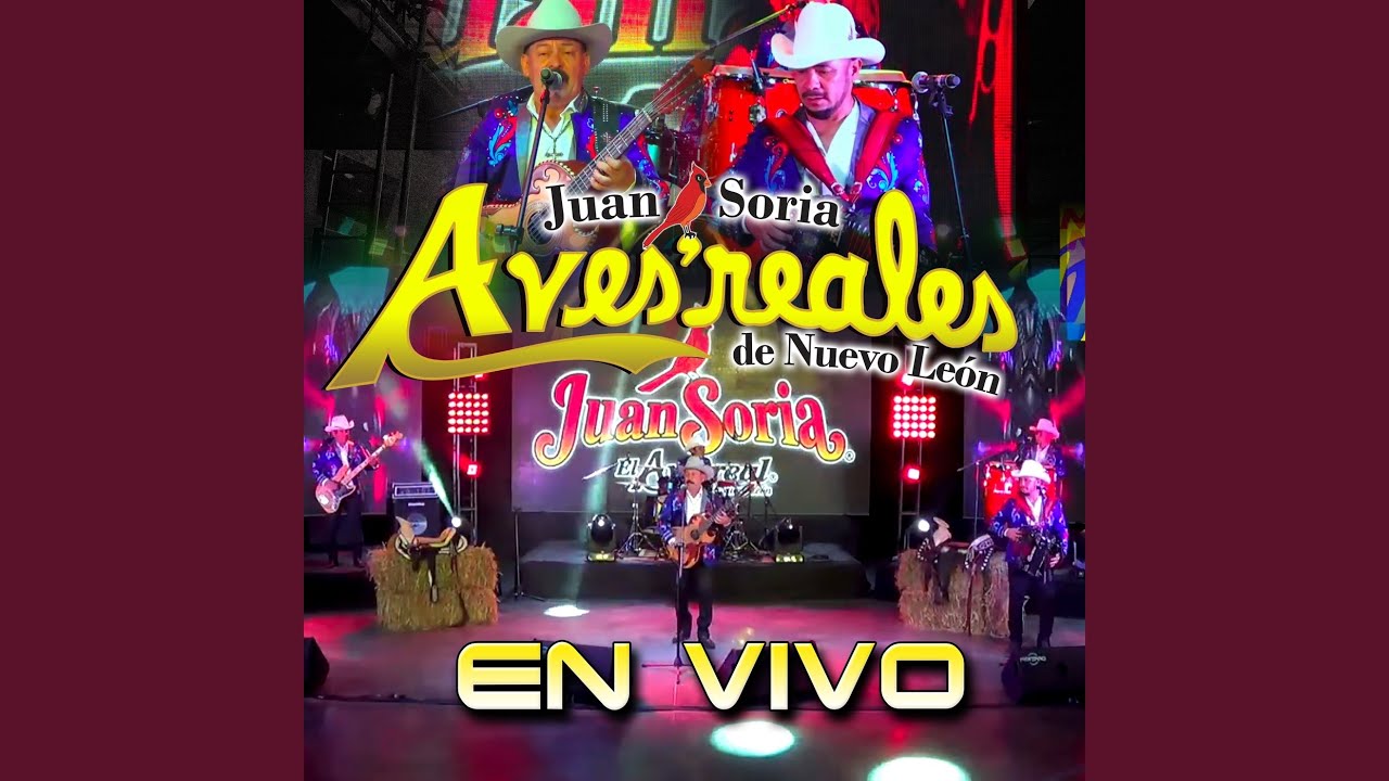 Muñequita (En Vivo)