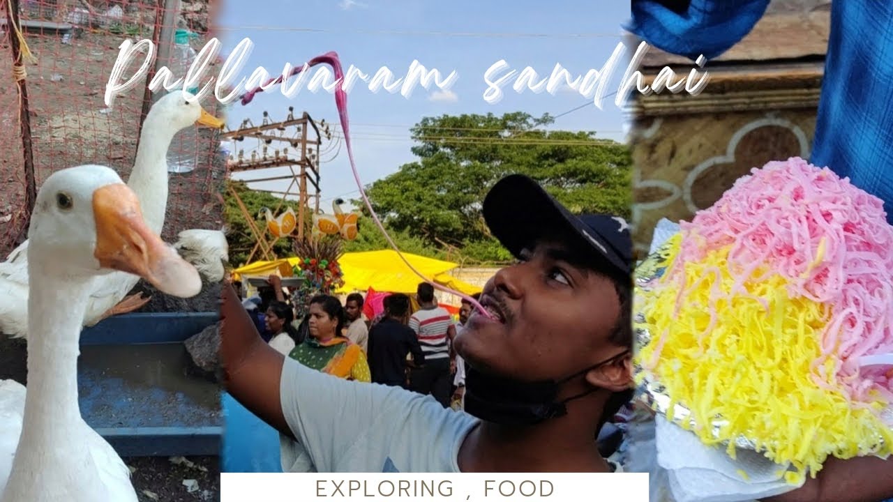 exploring pallavaram santhai | friday market | WWA