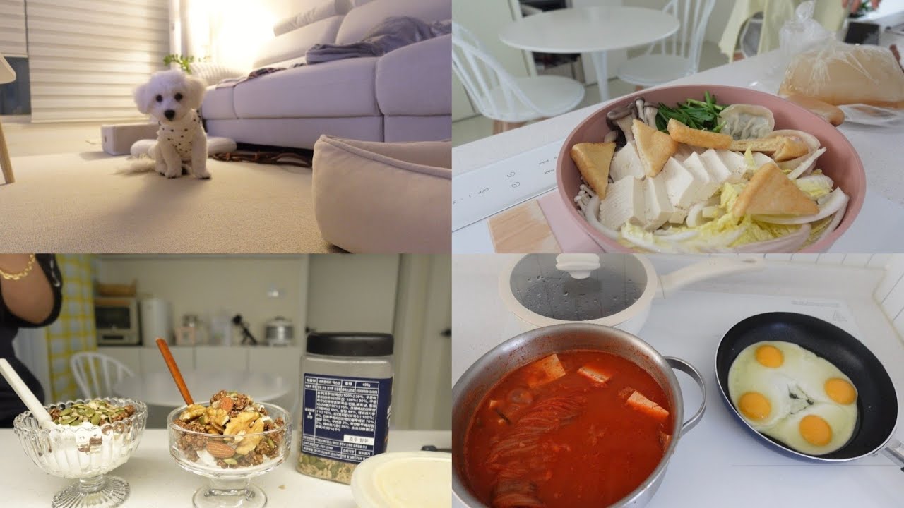 집순이 주부 일상 | 수박 썰다 손가락 부상 상처 봉합 | 그릭요거트 만들기 | 콩이 첫 전체미용