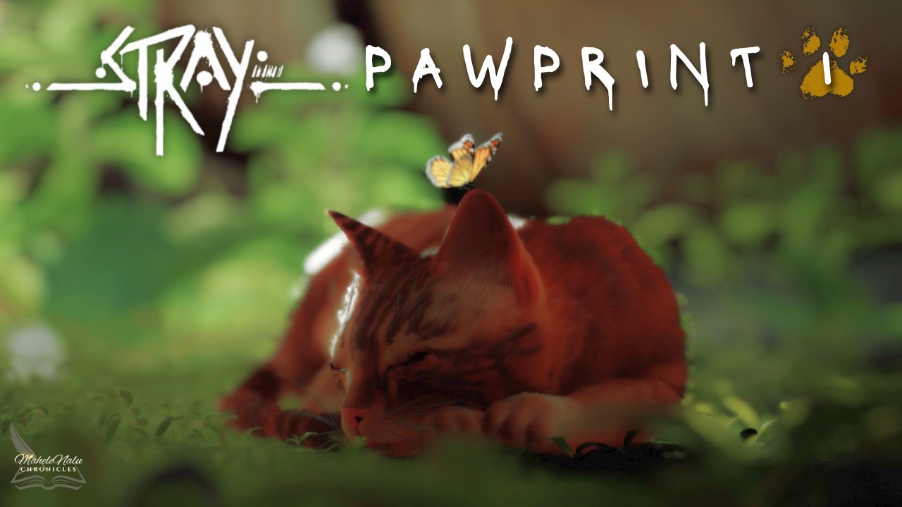 Stray | Pawprint 1 | The Outsider
