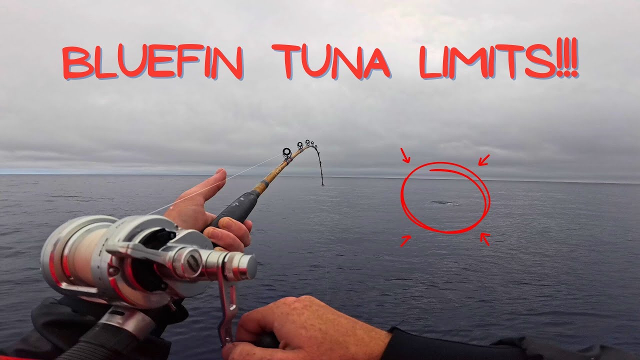 Bluefin Tuna Fishing With Aztec Sportfishing San Diego