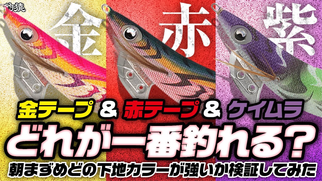 【驚愕結果】必見！朝マズメはどの下地カラーが釣れるのかエギング検証！赤テープ vs 金テープ vs ケイムラ