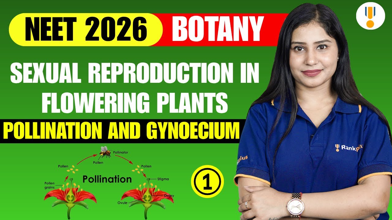 Sexual Reproduction in Flowering Plants 🌸 | NEET Botany 2026 | NCERT PYQs Solved | Rankplus