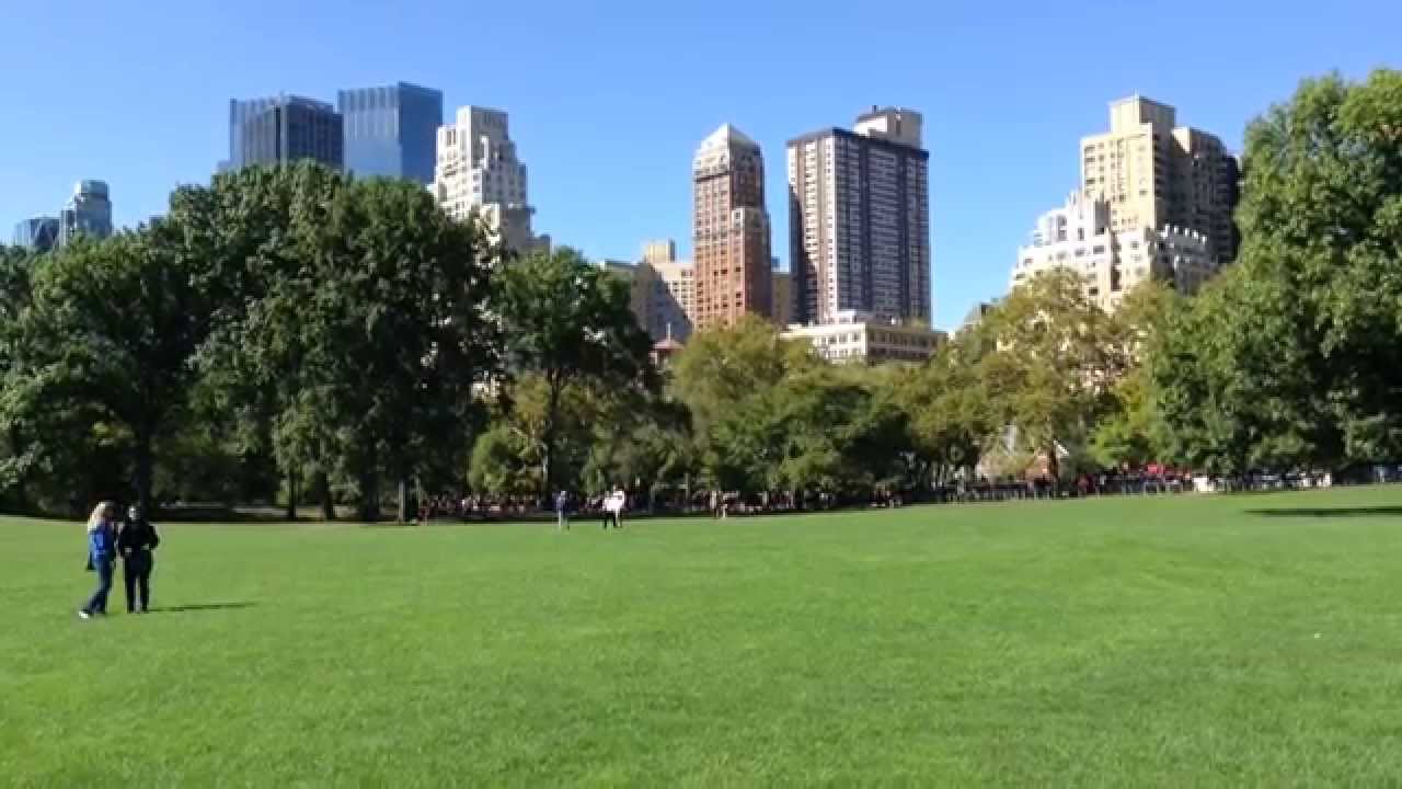 Central Park New York: guida, visita, itinerario