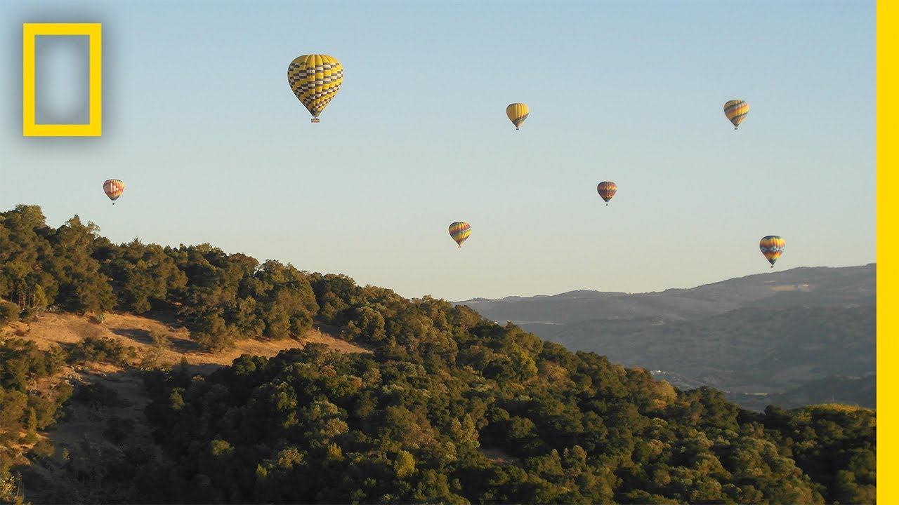 A Napa Valley Nature Walk | National Geographic