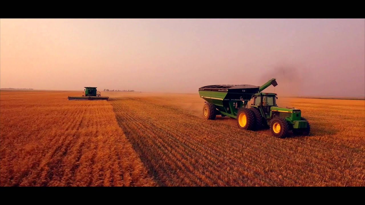 Grace Hill Farms | Alberta and Southwestern Saskatchewan