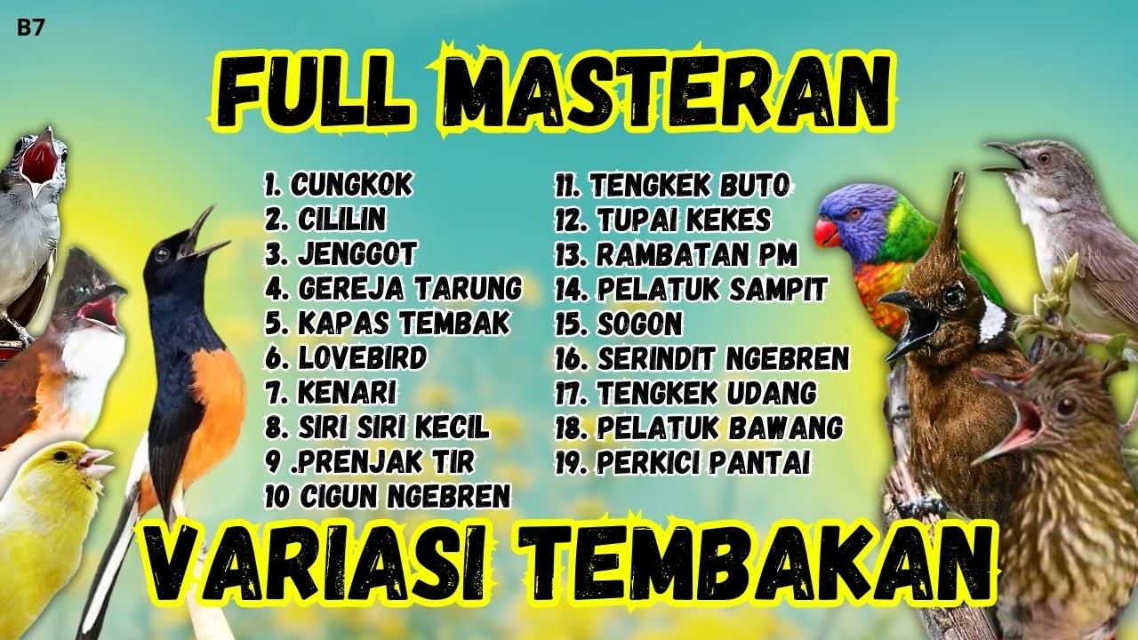 🔴 MASTERAN LENGKAP DONGKRAK EMOSI ‼️ FULL ISIAN MURAI BATU GACOR