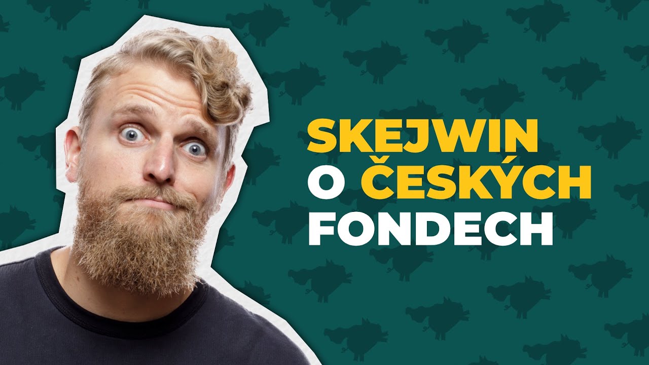 Jak si vedou česk&eacute; pod&iacute;lov&eacute; fondy z pohledu běžn&yacute;ch investorů podle Luk&aacute;&scaron;e N&aacute;dvorn&iacute;ka alias Skejwina