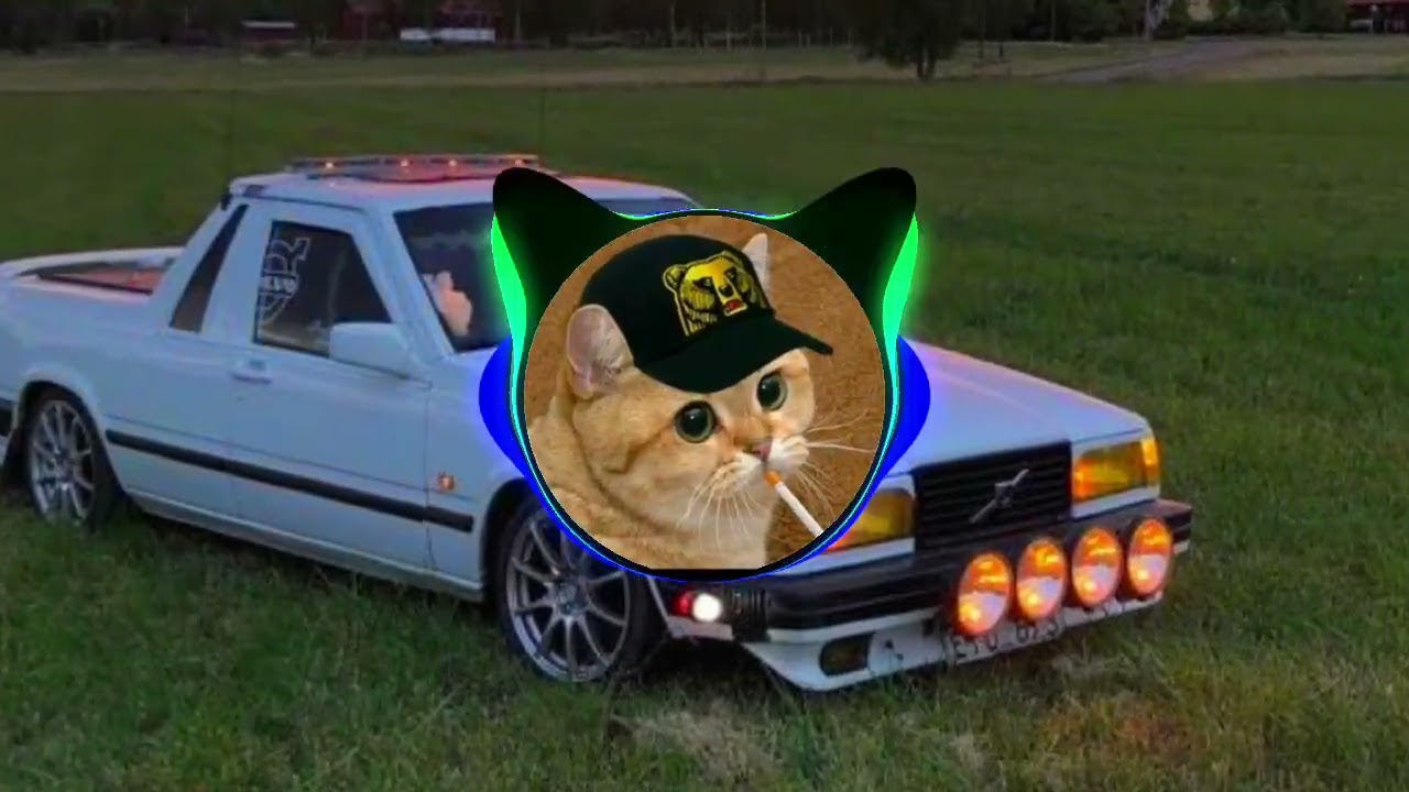 &Aring;ka B&aring;t (Bass Boosted)
