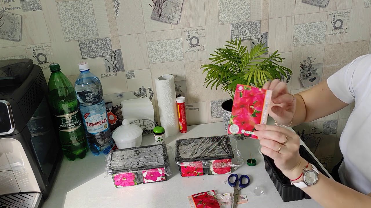 Мой завтрак 🥦🌽☕/Способ посева петунии🌺/Оделась по весеннему😊