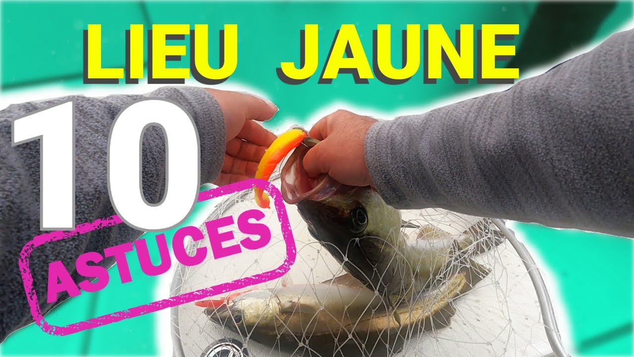 LIEU JAUNE : ASTUCES pour PECHER plus facilement en slow jig