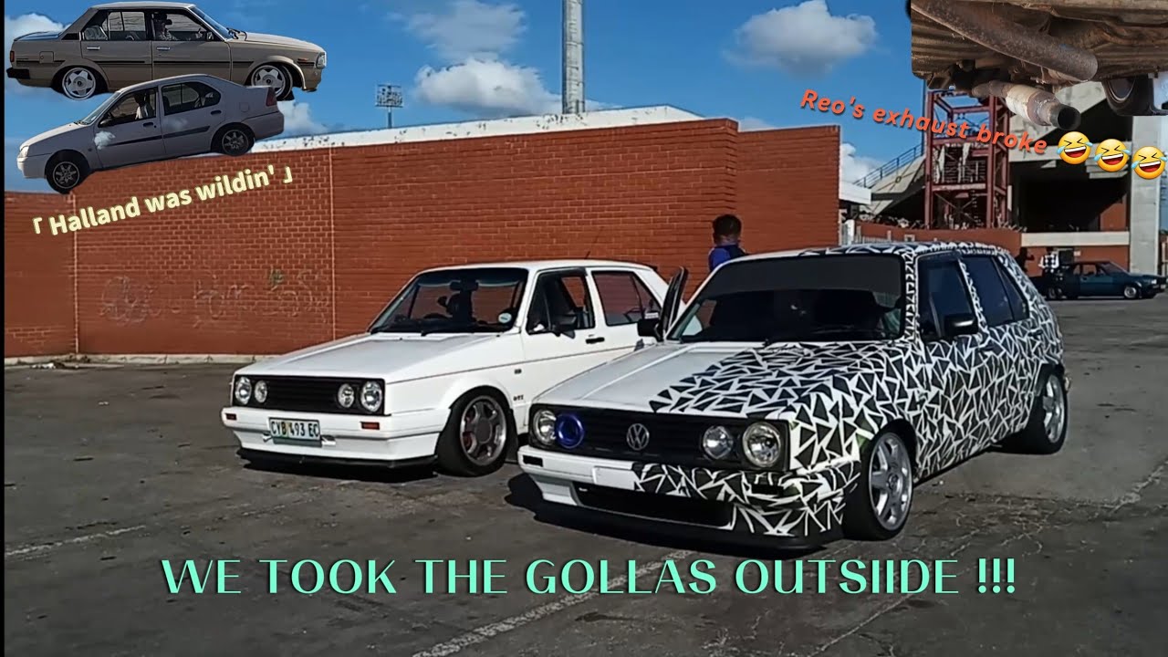 [VLOG #5] WE TOOK THE GOLLAS OUTSIDE !!! (cinematics)