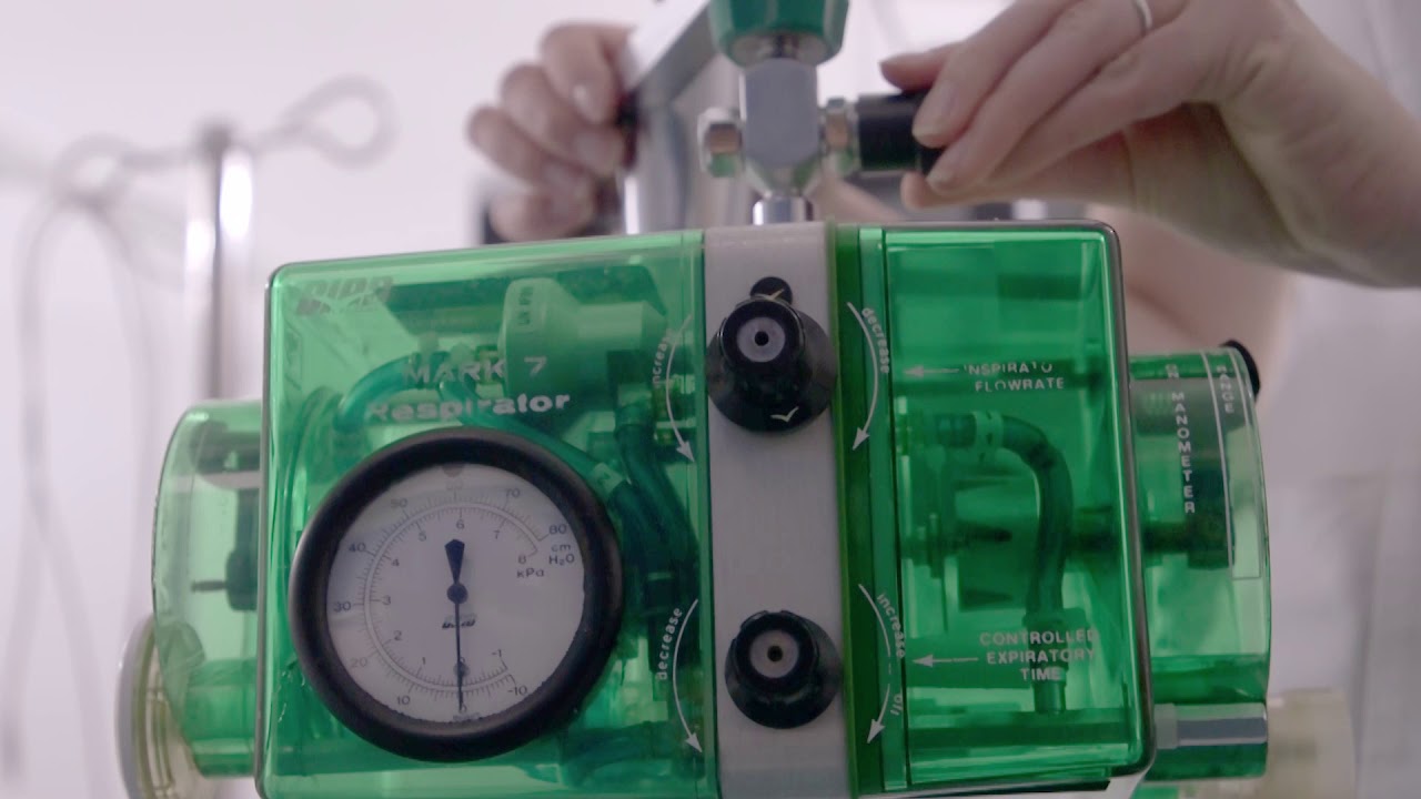 Video 7 Bird machine