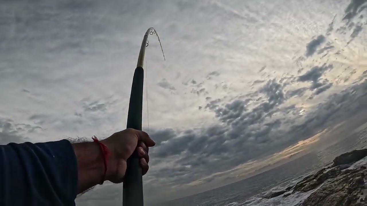 Lower South Coast Part 8 (BIG PULLS ALL MORNING)