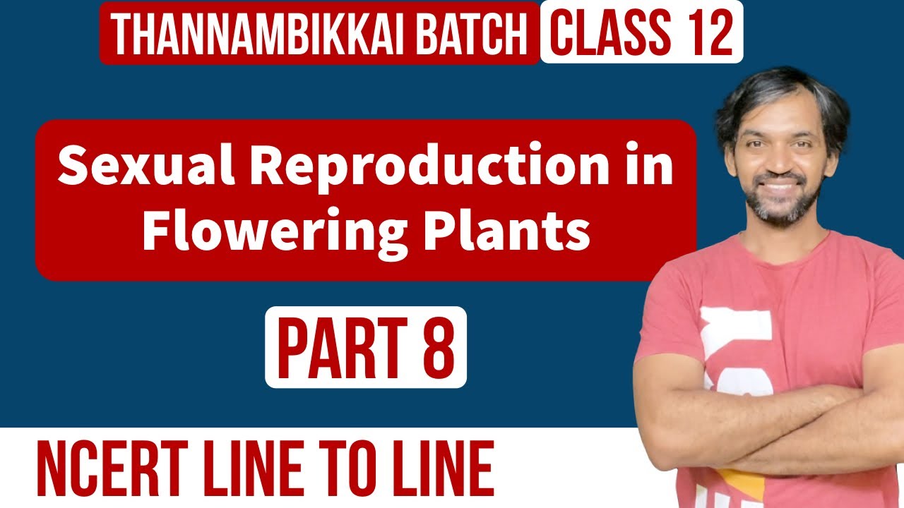 Sexual Reproduction in Flowering Plants | Part 8 | NCERT Line to Line | Thannambikkai Batch