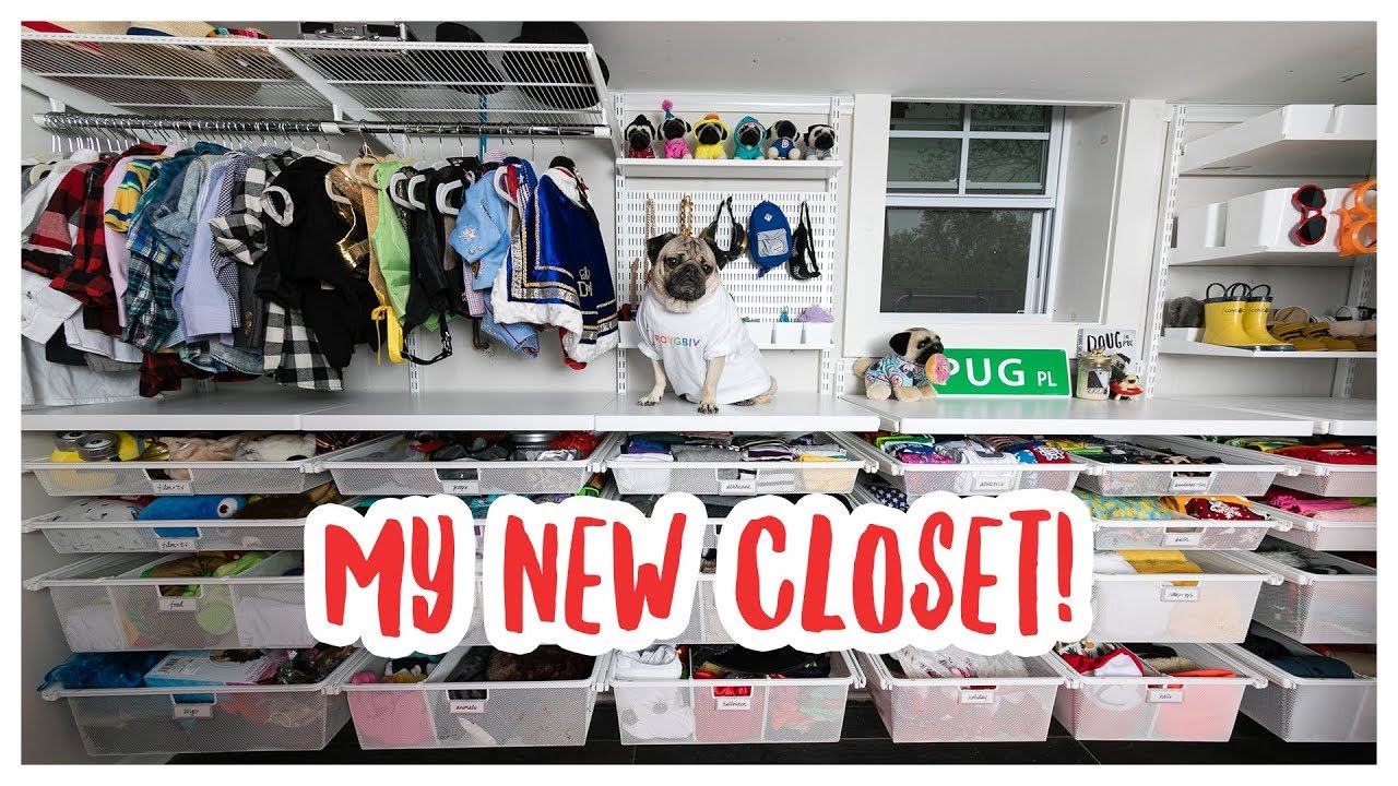 МОЙ НОВЫЙ ШКАФ!