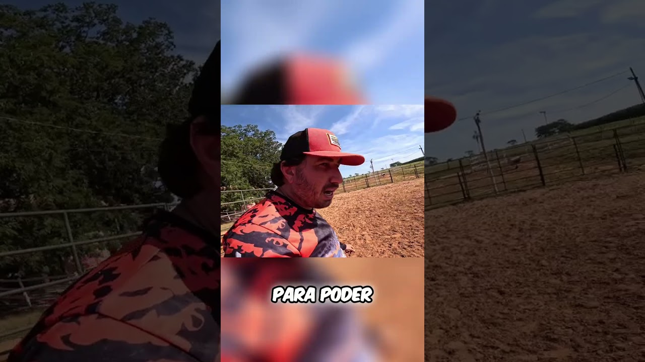 Bezerro Mansinho: Remédio, Carrapato e um Novo Lar!