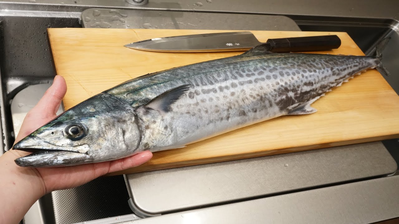 サワラの捌き方と刺身の作り方（皮付きの炙りが美味しい）