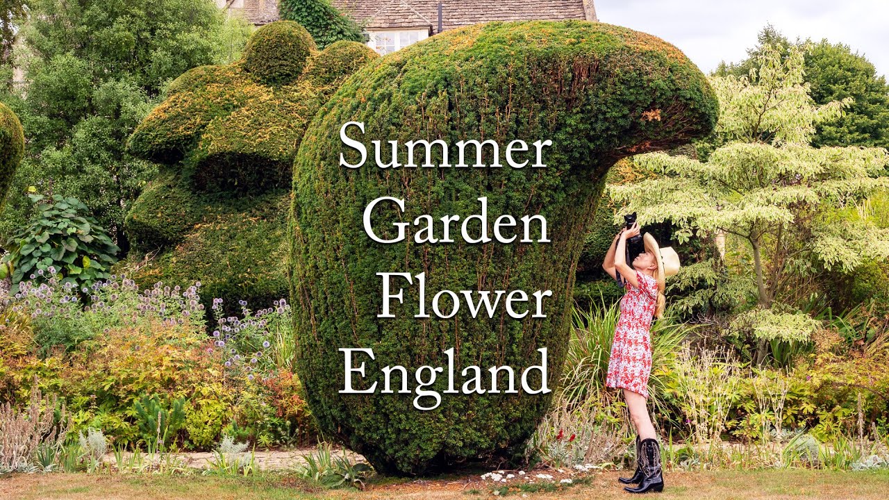 Most beautiful summer england garden Flowers/ 영국 가든에서 만난 플라워 / 여름 플라워 들판 / 와일드 플라워