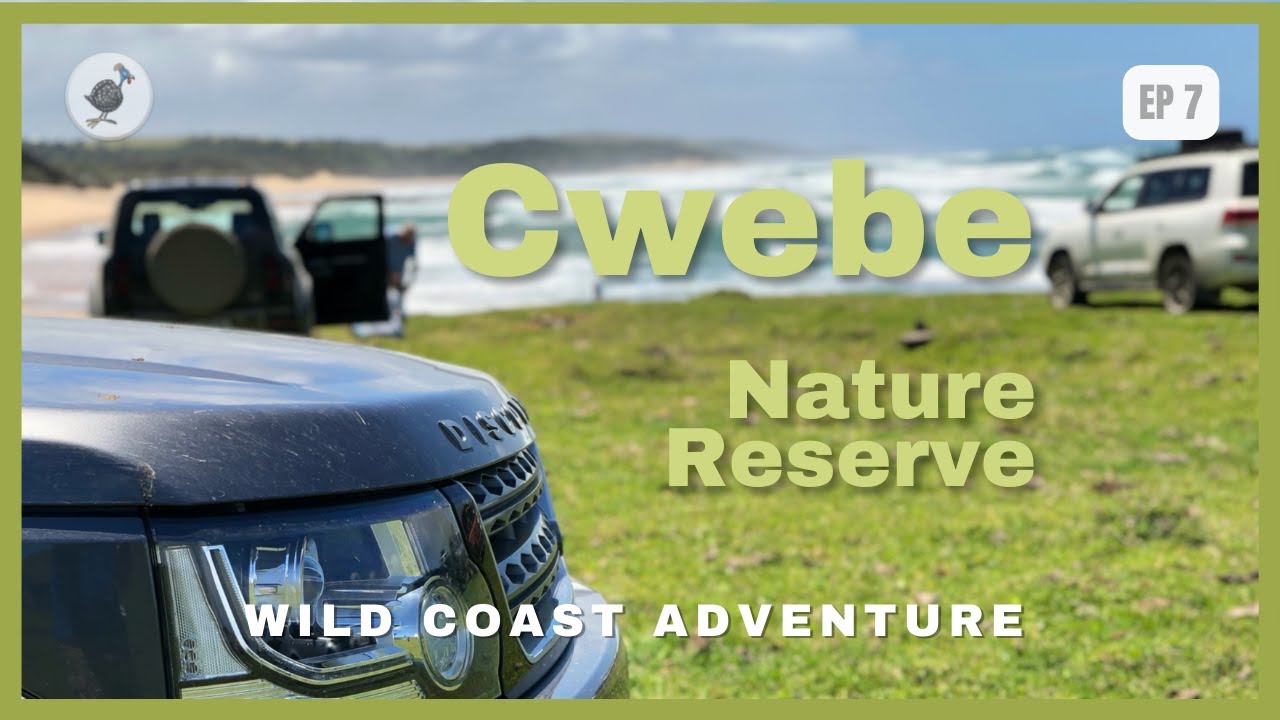 MPSA Wild Coast Adventure Tour - EP7 - Cwebe Nature Reserve Forest Drive 🌳
