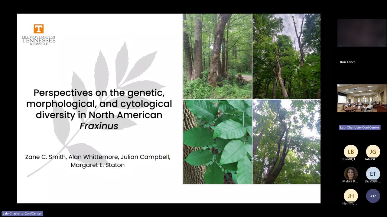 Session 1: Genetic, morphological, and cytological diversity in N American Fraxinus