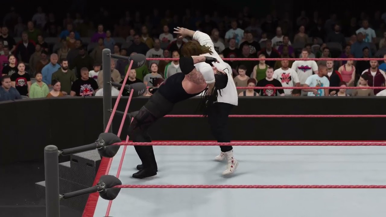 WWE  Mankind vs. The Undertaker WWF Summerslam 1996