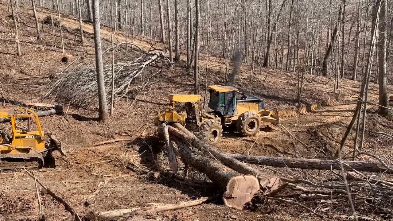 Raining hardwood! Logging Eastern Kentucky