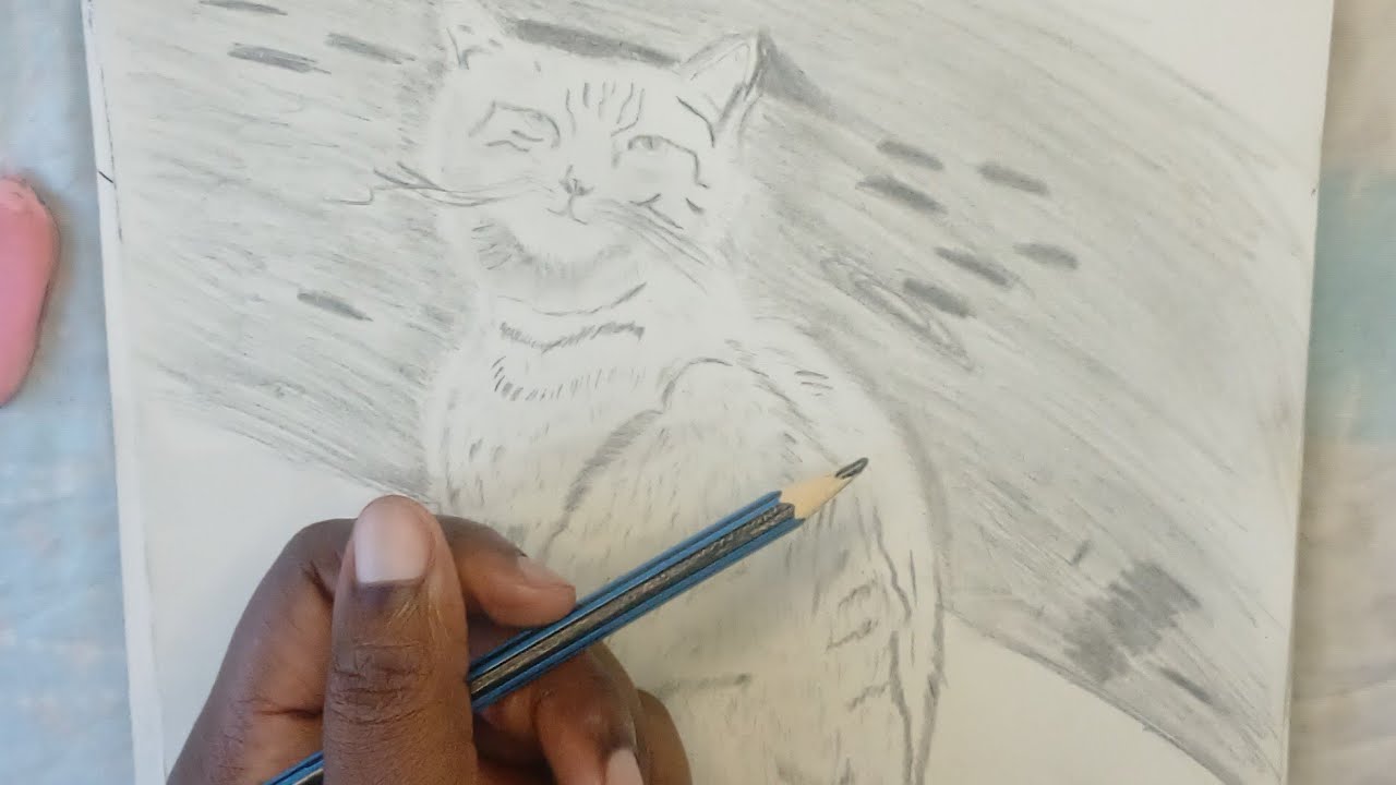 Drawing of a cute Cat