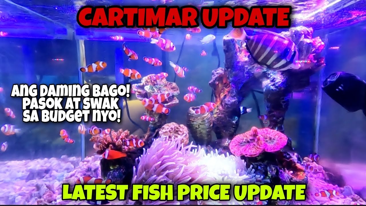 CARTIMAR LATEST FISH UPDATE! NAGKALAT LOCAL AND IMPORT NA MGA ISDA NGAYON!ANG DAMING BAGO!!😱😱😱