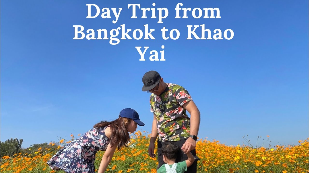Day Trip from Bangkok to Khao Yai 